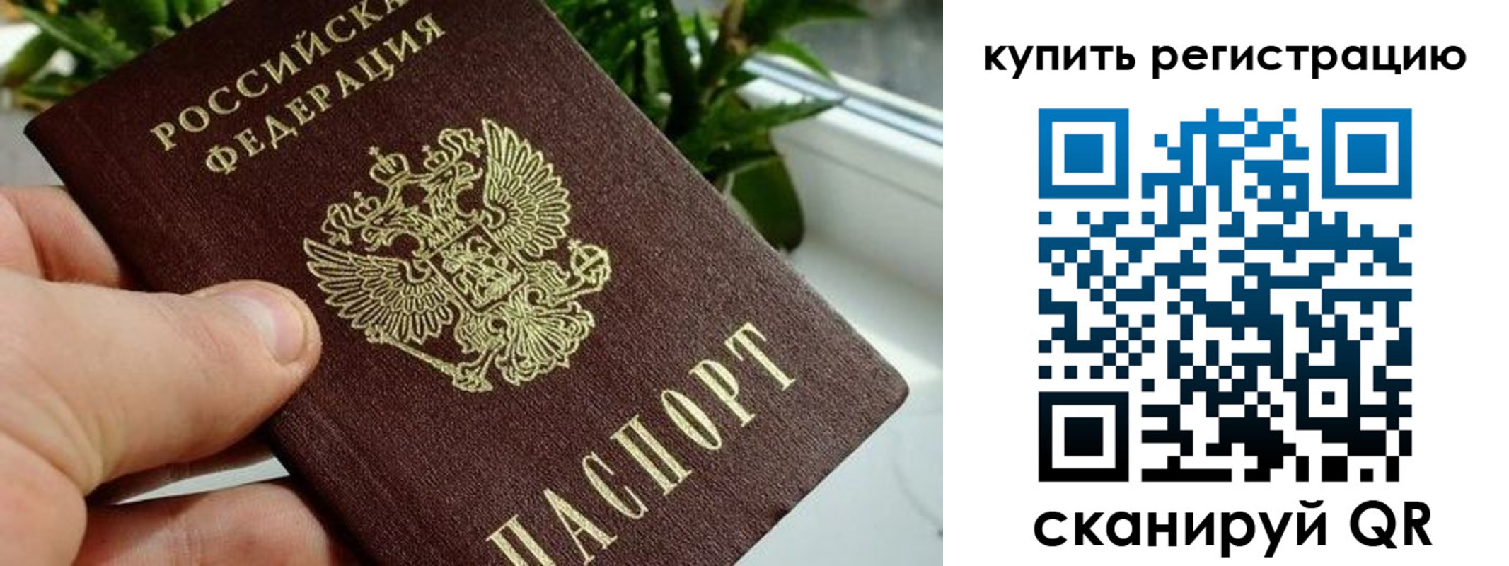 прописка гарантия в Костромской области